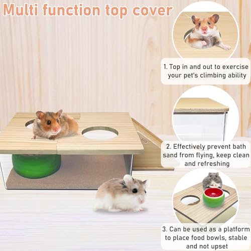 PINVNBY Hamster Sand Bath Box, Transparent Acrylic Shower, Gerbils Digging Room Container with Climbing Ladder and Ceramic Bowl, Litter Box for Hamsters Guinea Pigs Mice (Two Hole)