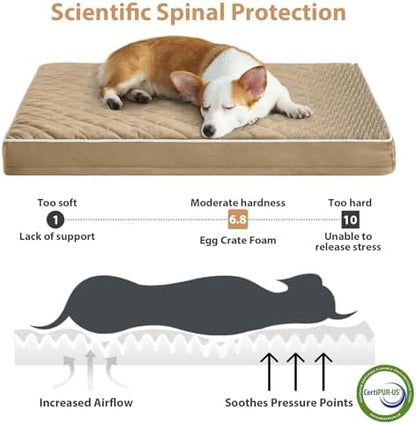 WNPETHOME Orthopedic Waterproof XL Dog Bed for Crate Cozy Sleep