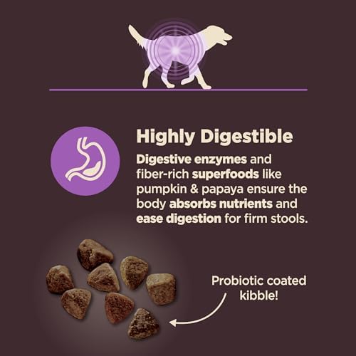 Wellness CORE Digestive Health Age Advantage Senior Dry Dog Food, Wholesome Grain Kibble, Sensitive Stomach, Natural, High Protein, Chicken and Brown Rice Recipe, 4 lb Bag