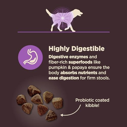 Wellness CORE Digestive Health Age Advantage Senior Dry Dog Food, Wholesome Grain Kibble, Sensitive Stomach, Natural, High Protein, Chicken and Brown Rice Recipe, 4 lb Bag