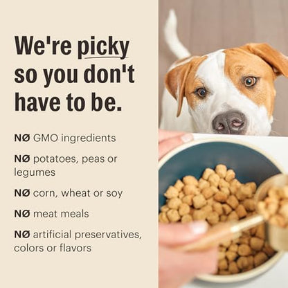 The Honest Kitchen Whole Food Clusters Whole Grain Chicken & Oat Dry Dog Food, 1 lb Bag (Pack of 2)
