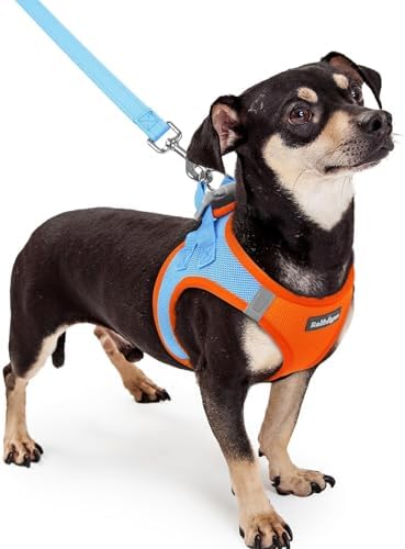 rabbitgoo Dog Harness Small Sized and Leash Set, Step-in Puppy Pet Vest