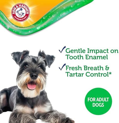 Arm & Hammer Complete Care Dental Gel Toothbrush Kit, Chicken, 3-Piece