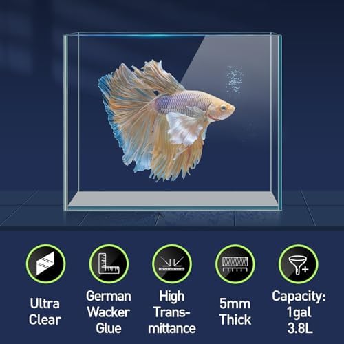 LAQUAL 1 Gallon Fish Tank Starter Kit with Fish Net, 1 Water Changer Siphons & 2 Cleaning Cloth, Crystal Clear Glass Fish Tank, Small Fish Tank/Aquarium for Betta & Goldfish, Nice Home Décor