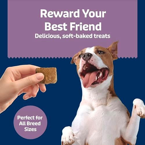 Blue Buffalo Health Bars Chicken & Mixed Berries Soft & Chewy Treats, 9 oz