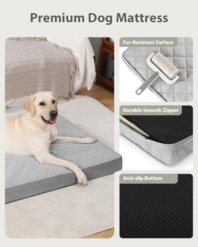 NUPIDA Orthopedic Small Dog Bed for Crate with Washable Cover, 23x17, Grey
