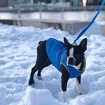 Gooby Padded Vest Dog Jacket, Solid Blue, Medium