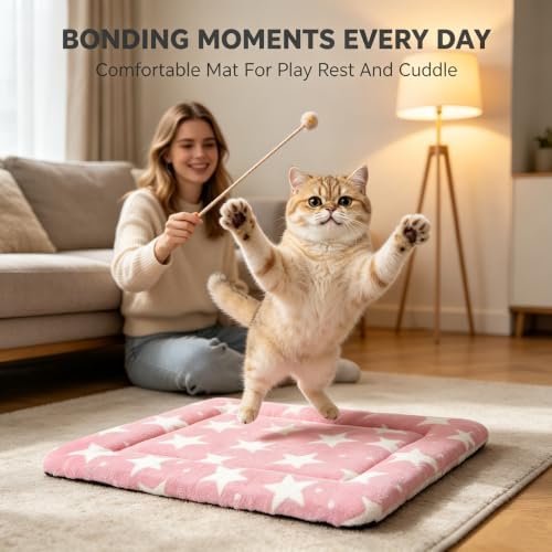 Cat & Dog Bed Mat - Reversible Dog Crate Bed Mats, Soft & Breathable Kennel Pad, Durable Crate Bed for Extra Small Dogs & Cats