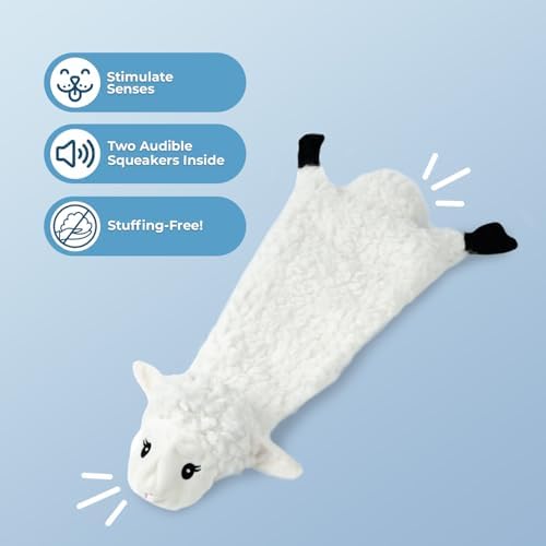 Best Pet Supplies 2-in-1 Stuffless Squeaky Dog Toy - Sheep, Small