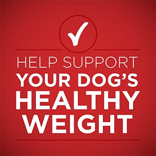 Purina ONE Plus Healthy Weight Wet Dog Food, Tender Cuts, (12) 13oz Cans