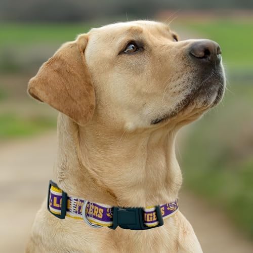 Pets First Collegiate PET Collar New Version LSU Tigers Dog Collar, Size Medium. Best Sports Team Color for Dogs & Cats. A Shiny & Colorful Dog & Cat Collar Licensed by The NCAA
