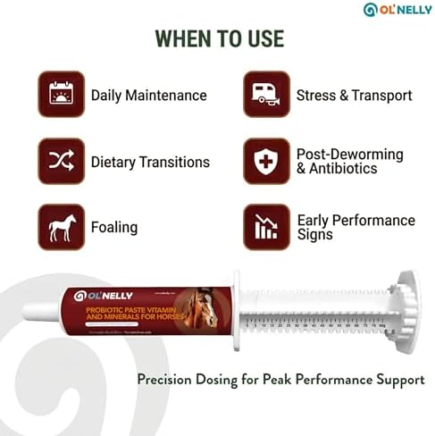 OL' NELLY Equine Probiotic Paste | Supports Equine Gut Health, Hindgut, Digestion, Immune Support, Energy, Coat & Hooves,12 Billion CFU Multi-Strain + Prebiotic, Vitamins & Minerals 80cc Syringe