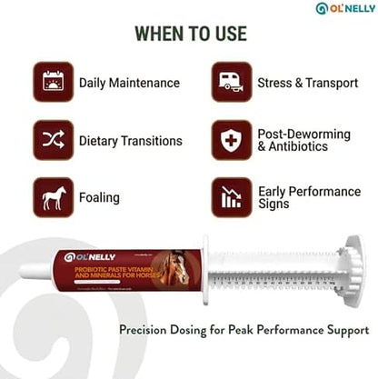OL' NELLY Equine Probiotic Paste | Supports Equine Gut Health, Hindgut, Digestion, Immune Support, Energy, Coat & Hooves,12 Billion CFU Multi-Strain + Prebiotic, Vitamins & Minerals 80cc Syringe