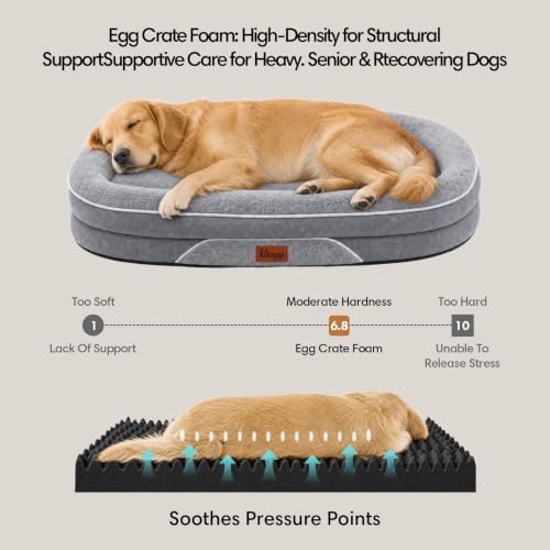 Orthopedic Dog Beds Large Sized Dog, Washable Dog Bed, 42" L, Grey