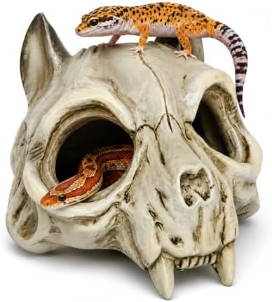 Reptile Hide Cave, Fox Skull Design, Resin Hideout for Leopard Gecko, Snake & Lizard, Multi-Entry Terrarium Shelter,5.31“ × 5.83” × 6.1"(Fox Skull)