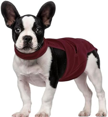 QBLEEV Female Dog Diapers with Adjustable Suspenders – Washable Sanitary Panties for Dogs in Heat or Incontinence, Escape-Proof Reusable Pet Period Underwear Onesie for Small to Large Breeds