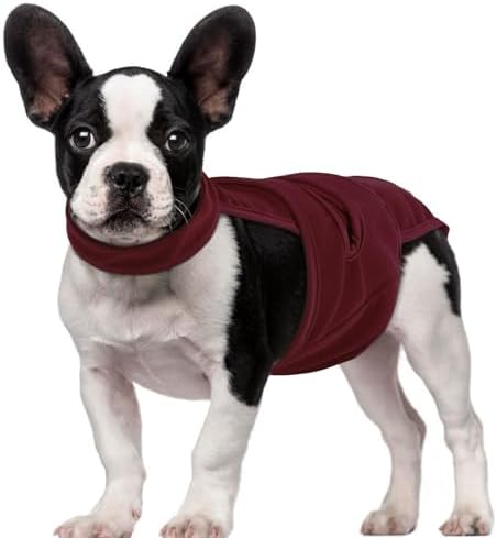 QBLEEV Female Dog Diapers with Adjustable Suspenders – Washable Sanitary Panties for Dogs in Heat or Incontinence, Escape-Proof Reusable Pet Period Underwear Onesie for Small to Large Breeds