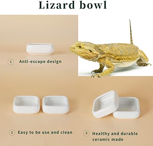 Ceramic Reptile Food Bowls, Reptile Water Food Dish (White, Large-2Pack)