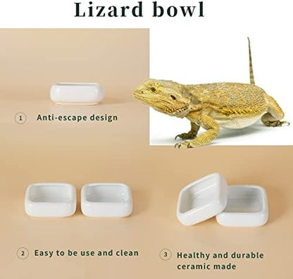 Ceramic Reptile Food Bowls, Reptile Water Food Dish (White, Medium-1Pack)