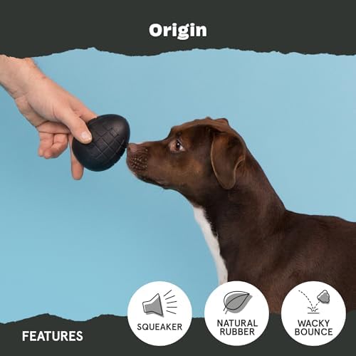 BarkBox Origin Super Chewer - Toy for Large Dogs