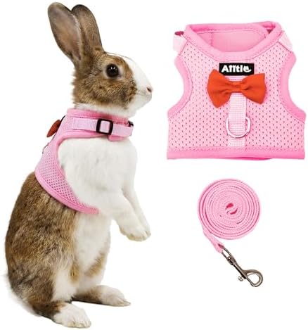 AIITLE Breathable Rabbit Harness and Leash Set with Cute Bow, Pink M