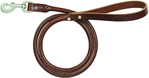 Terrain D.O.G. Bridle Leather Rolled Dog Leash