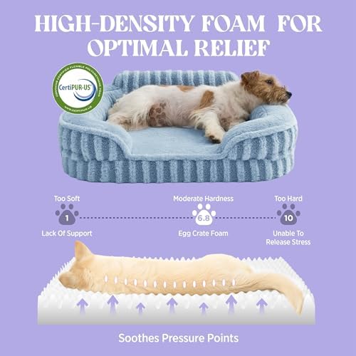 LE SURE Cute Cozy High Back Orthopedic Dog Beds Large Sized Dog,35" Blue
