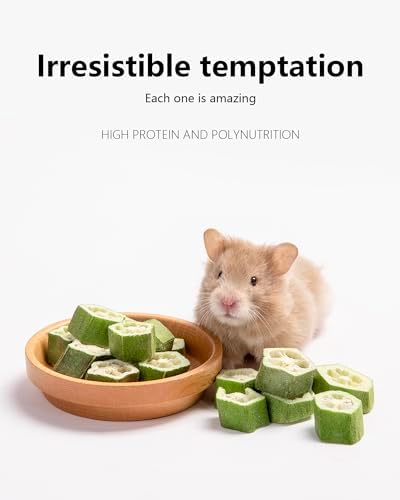 Niteangel Hamster Snack Treat Toy: Freeze-Dried Okra & No Additive