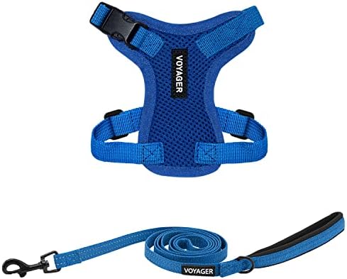 Best Pet Supplies Voyager Step-in Lock Pet Harness w Reflective Pet Leash Combo Set with Neoprene Handle 5ft - Supports Small, Medium and Large Breed Puppies/Cats - Royal Blue, XXXS
