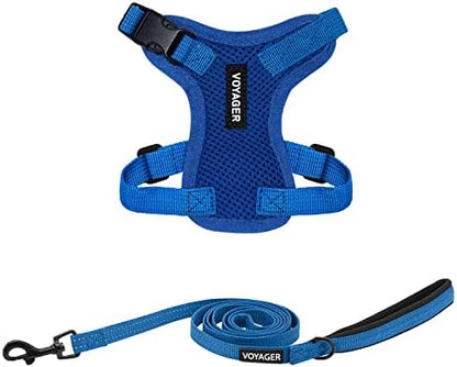 Best Pet Supplies Voyager Step-in Lock Pet Harness w Reflective Pet Leash Combo Set with Neoprene Handle 5ft - Supports Small, Medium and Large Breed Puppies/Cats - Royal Blue, XXXS