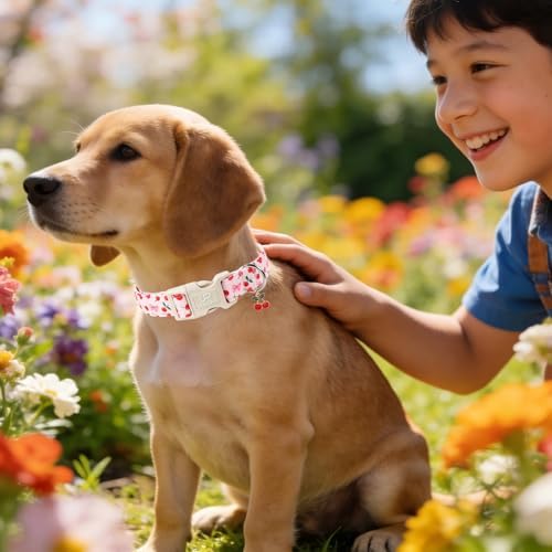 Spring Dog Collar, UP URARA PUP Strawberry Collars in Pink Checkered Adjustable Pet Collar with Quick Release, Daily Dog Accessories for Small Medium Large Dogs