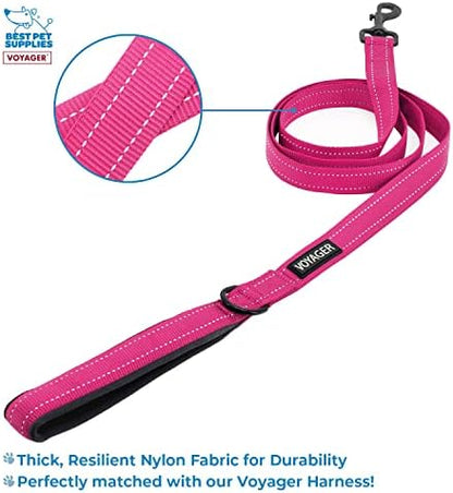 Best Pet Supplies Voyager Step-in Lock Pet Harness w Reflective Pet Leash Combo Set with Neoprene Handle 5ft - Supports Small, Medium and Large Breed Puppies/Cats - Fuchsia/Black Trim, XXXS
