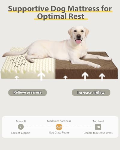 NUPIDA Orthopedic Large Dog Bed for Crate with Washable Cover, 35x22, Brown