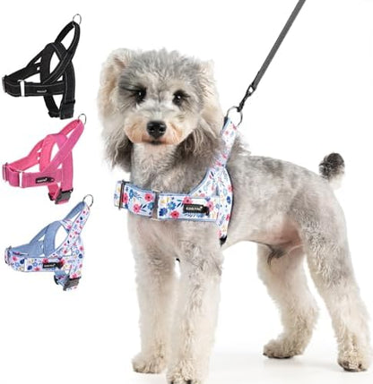 KOOLTAIL No Pull Small Dog Harness with Soft Padded and Handle, Easy Walk Puppy Vest Harness Neck & Chest Adjustable, Reflective & Lightweight Escape Proof Breathable Mesh Medium Pet Harness, Blue S