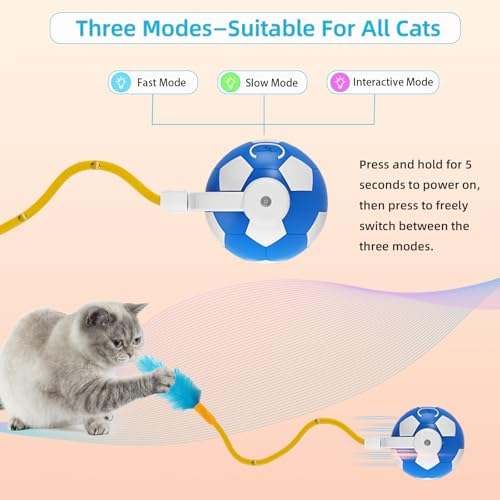 Cat Enrichment Toy, Chase Toy for Bored Indoor Adult Cats