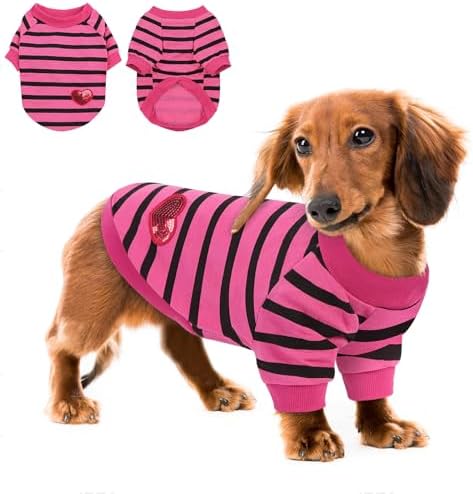 Queenmore Large Dog Shirt,Soft Breathable Dog Shirt for Dogs Cats Boy Girl,Pet Clothes for All Season,Breathable Lightweight Pet Tshirt for Frenchie, Dachshund, Yorkie