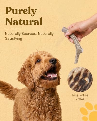Mountain Valley Deer Antlers for Dogs Organic Chew Whole Dog Antler, Medium