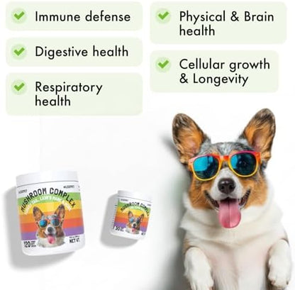 Mushroom Complex Treats for Dogs with Reishi, Shiitake, and Turkey Tail Mushrooms for Cognition and Immune Boosting Supports Digestive Health and Reduces Inflammation DHA EPA Turmeric Kelp (120pcs)