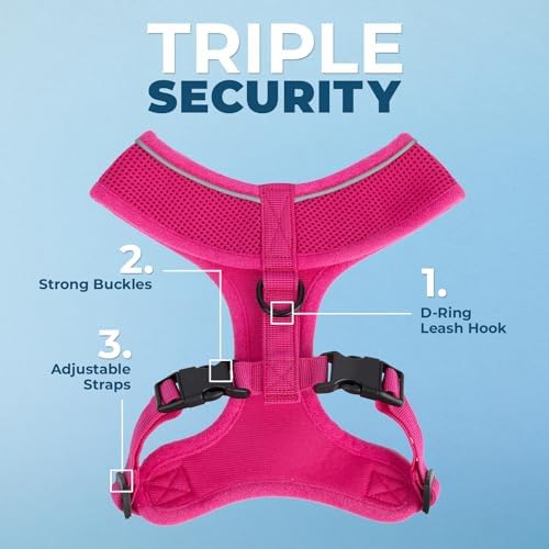 Best Pet Supplies Voyager Aerolite Over the Head Dog Harness, No Pull Breathable Air Mesh Vest, Quick Dry with Reflective Stitching, Adjustable Escape Resistant Harness - Fuchsia, Medium