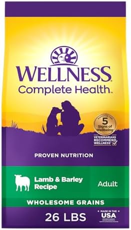 Wellness Complete Health Adult Dry Dog Food, Wholesome Grain Kibble, Natural, Lamb and Barley Recipe, 26 lb Bag