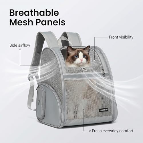 Cat Backpack Carrier for Small Dogs and Medium cat Puppy Kitten Bunny Pet Carrier Backpack Collapsible with Fully Ventilated Mesh with Safety Leash (Gray, 12.9" L x 10.62" W x 15.5" H - M)