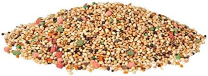 Wild Harvest Daily Blend for Parakeet, Canary, Finch & Small Birds, 2 Pounds (Pack of 4)