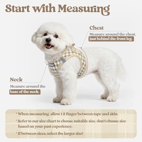 rabbitgoo Dog Harness Small Sized and Leash Set, Step-in Puppy Pet Vest