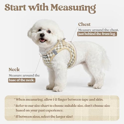 rabbitgoo Dog Harness Small Sized and Leash Set, Step-in Puppy Pet Vest