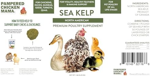 Kelp for Chickens & Duck Feed (1 Pound): Chicken Vitamins | Chicken Supplements | Vitamins for Chickens | Pampered Chicken Mama