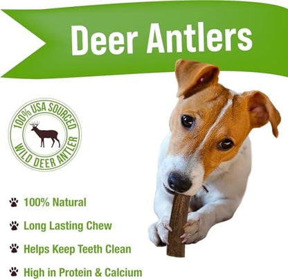 Buck Bone Organics Deer Antler Dog Bones, Premium Grade A - Natural Dog Treat, Made in Montana (Medium)