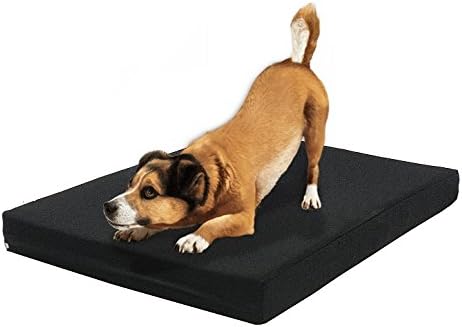 Black Canvas Durable External Case Cover Waterproof Therapeutic Orthopedic 100% Solid True Dense Cooling Blue Memory Foam Pad Pet Dog Bed Crate Free 2nd External Cover (47x29x4 Inch)