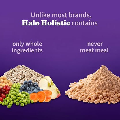 Halo Holistic Dry Dog Food, Vegan Plant-Based Recipe, Kelp, 21 lb