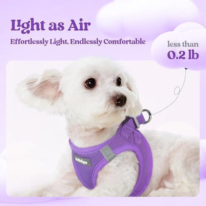 rabbitgoo Dog Harness Medium Sized and Leash Set, Step-in Puppy Pet Vest