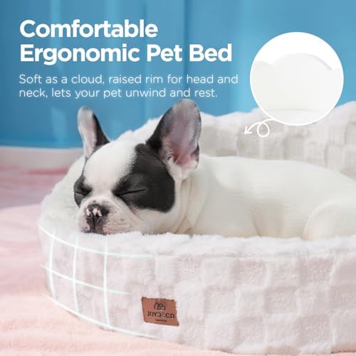 Joydeco Cloud Dog Bed for Small Dogs & Cats, Washable Pet Bed with Orthopedic Foam and Removable Checkered Plush Pad, Non-Slip Bottom for Indoor Puppies and Kittens, 22x20 Inch, White